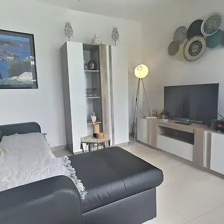 Avec Terrasse A 450m De La Apartment *